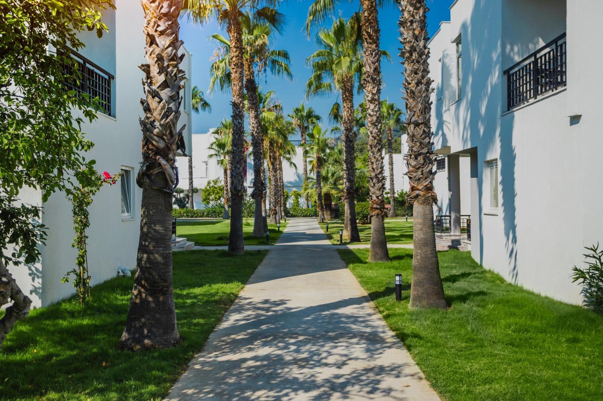 Simena Comfort Hotel Kemer Kültér fotó